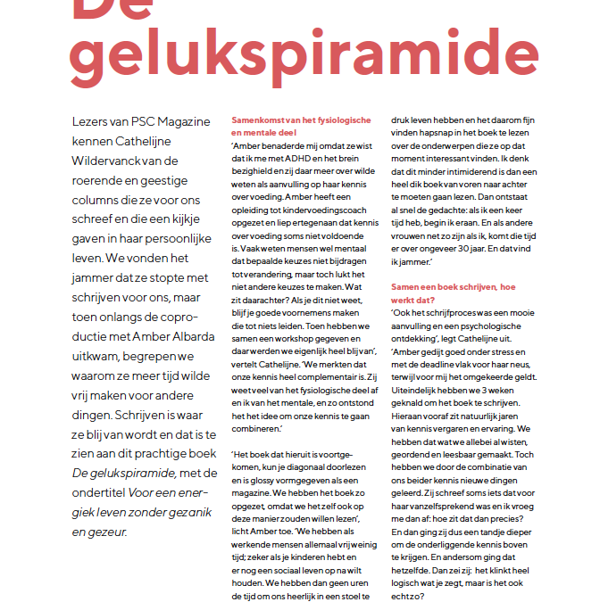 De Gelukspiramide
