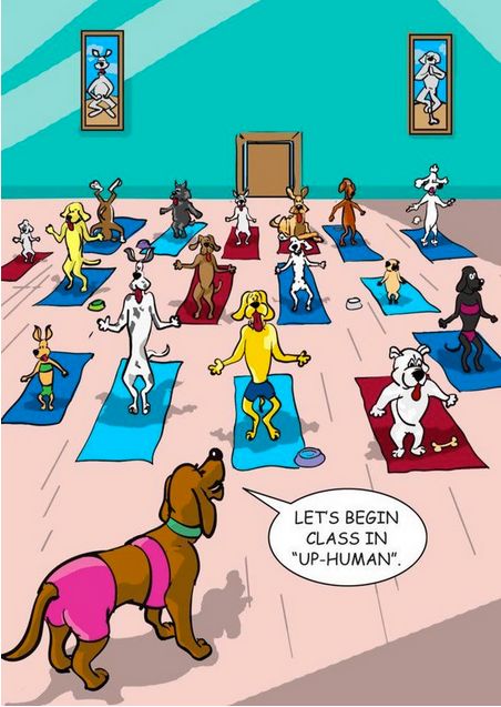 yoga inspiratie blog