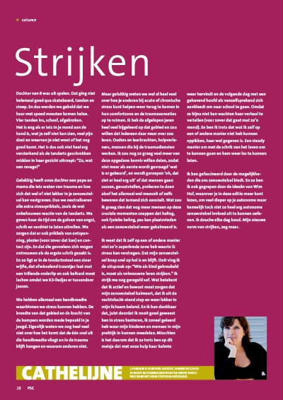 Artikel Strijken
