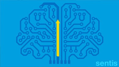 Video Neuroplasticiteit plasticiteit van ons brein