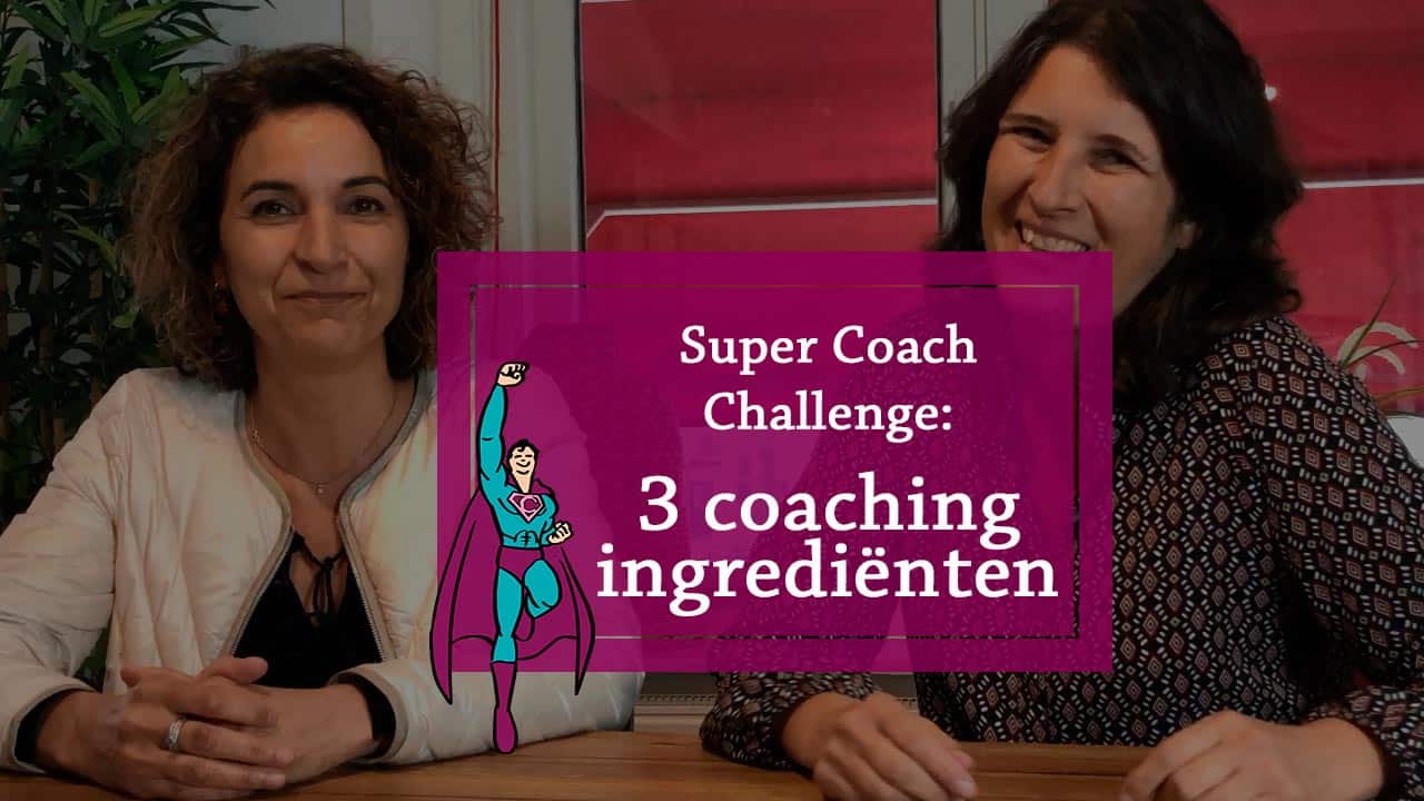 de eerste verdieping super coach 3 coaching ingredienten2